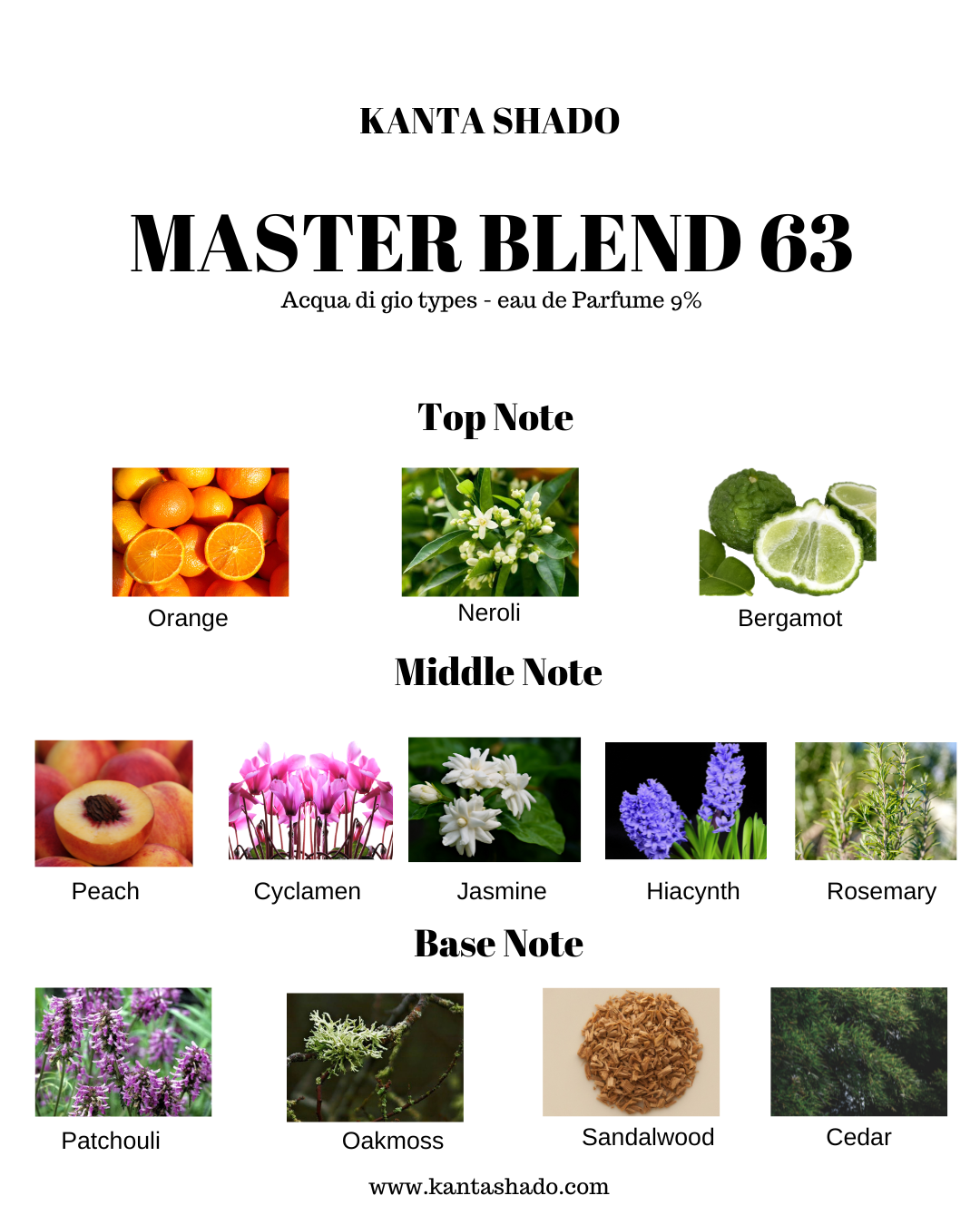 MASTER BLEND 63 (10mg) (Acqua Di Gio inspired)